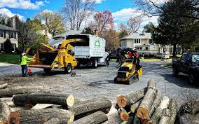 Best Leaf Removal  in Rural Hill, TN
