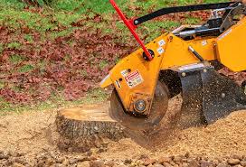 Best Storm Damage Tree Cleanup  in Rural Hill, TN