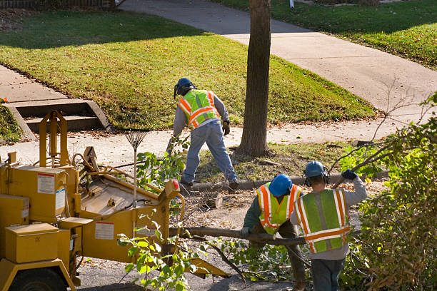 Best Tree Trimming and Pruning  in Rural Hill, TN