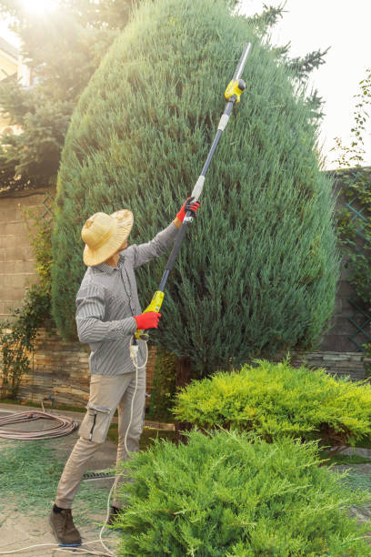 Best Hazardous Tree Removal  in Rural Hill, TN